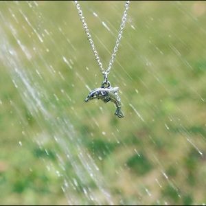 Dolphin Necklace